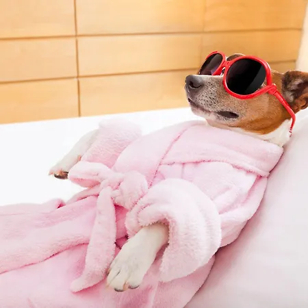 Davinci Hotel Mariënbad